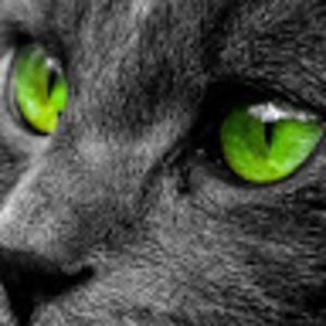 Meet your Posher, Gaviola